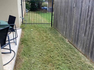 Derek B.'s lawn care service result