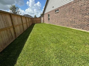 Stephen C.'s grass cutting service result