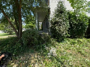 Haisem V.'s Bush Trimming service result