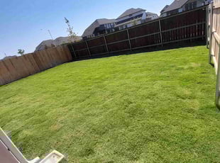 Sarah G.'s grass maintenance service result