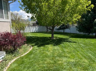 Dean E.'s lawn care service result