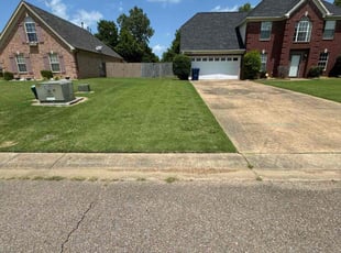 Dennis S.'s lawn care service result