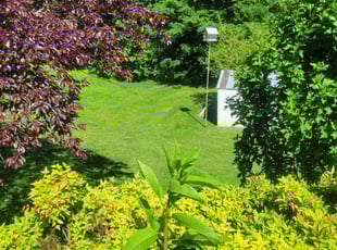 Bob W.'s lawn maintenance service result