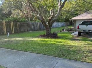 Davinia W.'s lawn maintenance service result