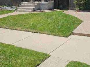 Brenda M.'s lawn care services service result