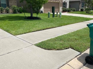 Carmen M.'s lawn maintenance service result