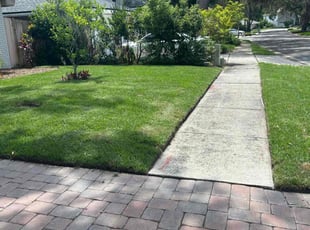 Rayford M.'s turf care service result