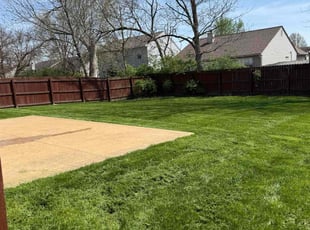 Dejan M.'s lawn maintenance service result