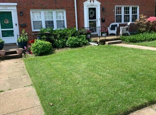 Samuel L.'s turf maintenance service result