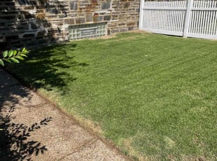 shawnee h.'s turf care service result