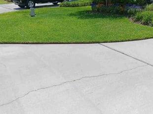 Gerry O.'s turf maintenance service result