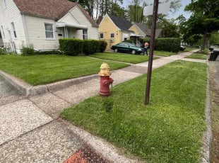 Jennifer T.'s turf maintenance service result