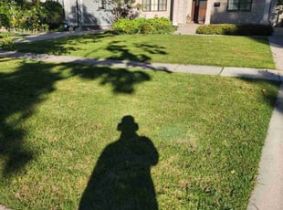 Jim L.'s lawn maintenance service result