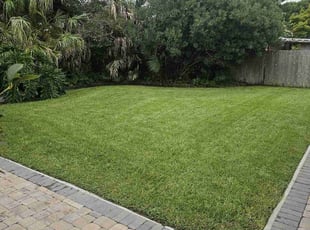 Dp R.'s lawn service service result