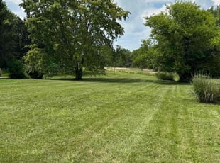 Sara S.'s lawn maintenance service result