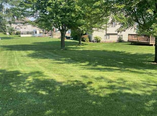 Anna P.'s lawn care services service result