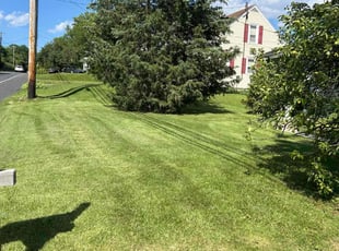 Judy K.'s lawn care services service result