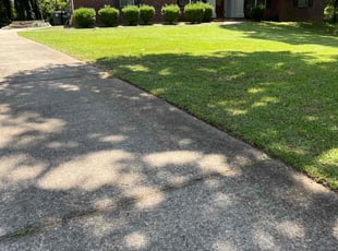 Ronald D.'s grass cutting service result