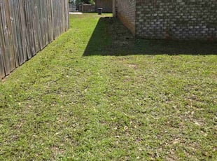 Grant G.'s lawn service service result