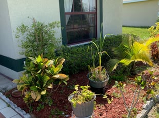 Terry B.'s Bush Trimming service result