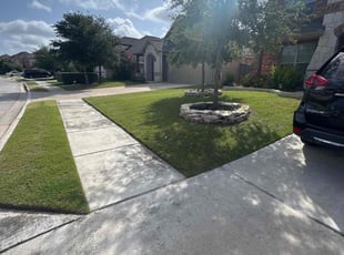Syed A.'s grass maintenance service result