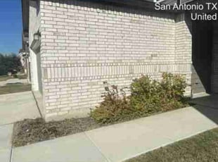 Richard R.'s Flower Bed Weeding service result