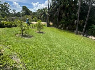 Josh E.'s lawn care services service result