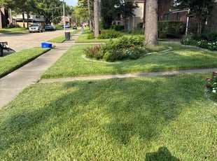 Jeffrey S.'s Long Grass Cleanup service result