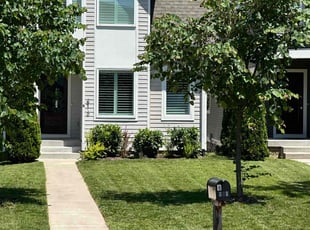 Julie D.'s Bush Trimming service result