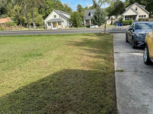 Jesse C.'s turf maintenance service result