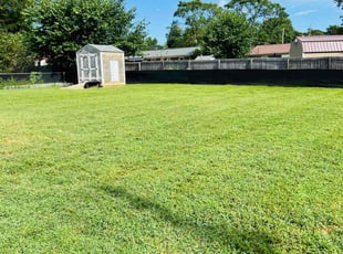 Miranda A.'s lawn service service result