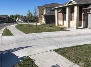 Fenetra D.'s turf maintenance service result