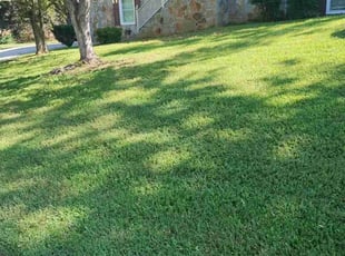 Eugene C.'s lawn maintenance service result