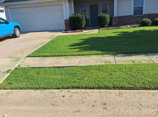 Gayle S.'s turf maintenance service result