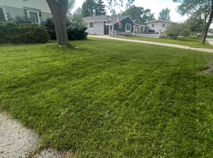 Wendy W.'s lawn care service result