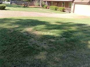 Satirah G.'s lawn care services service result