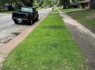 Ashley H.'s landscape maintenance service result