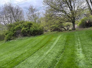 Chase T.'s lawn service service result