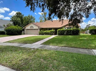 Alberto S.'s lawn care service result