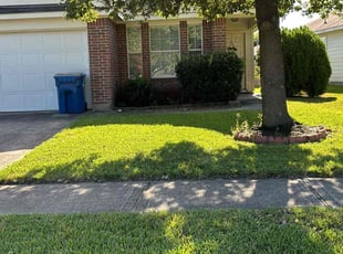 Isaac L.'s lawn maintenance service result