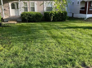 Marianna O.'s residential landscaping service result