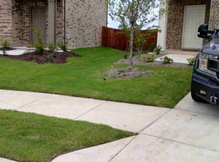 Shannon B.'s turf care service result