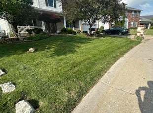 Nataliya K.'s grass maintenance service result
