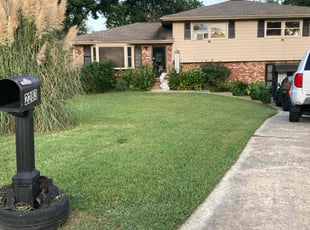 Anita A.'s lawn maintenance service result