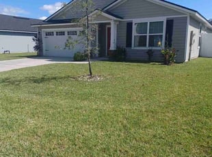 Shay S.'s lawn service service result