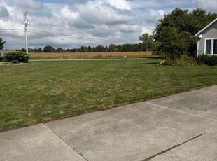 Corrine W.'s lawn maintenance service result