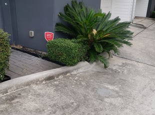 Will G.'s Bush Trimming service result