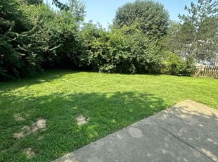 Brenda C.'s lawn care service result