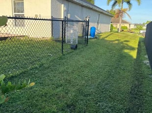 Kristen M.'s grass cutting service result