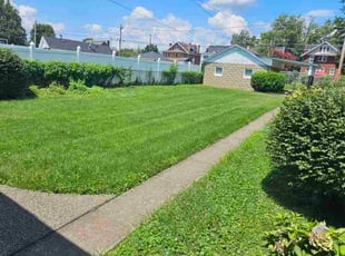 Francis T.'s grass cutting service result